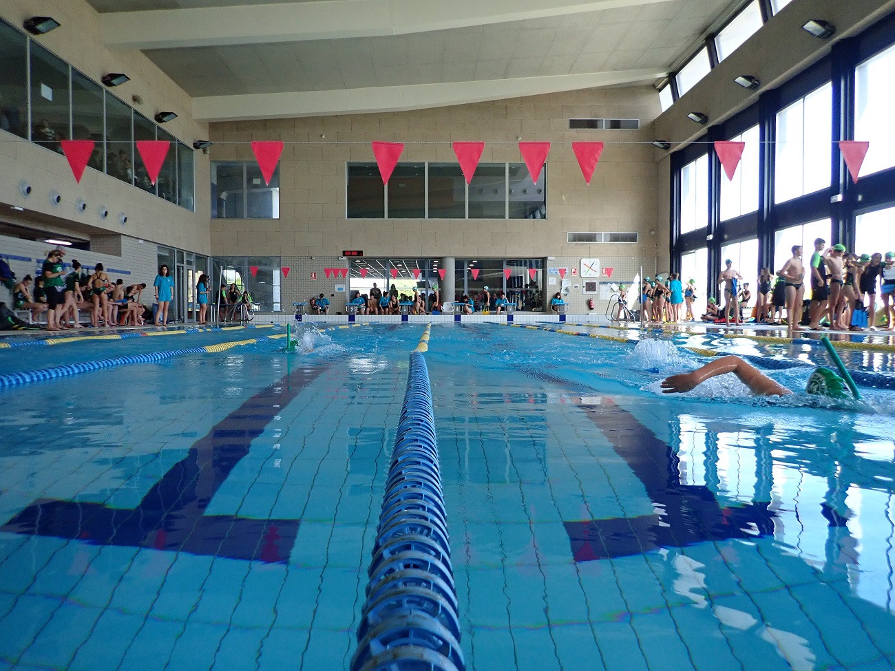 Resultados y puntuación 4ª jornada JDN de Natación con Aletas